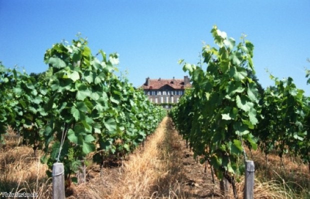 Guests will get to explore a number of wineries.