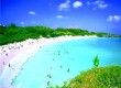 One of Bermuda's famous pink beaches
