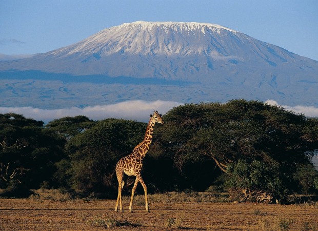 Challenge yourself to a Kilimanjaro trek