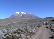There are many routes up Kilimanjaro