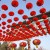 Chinese New Year is also known as Spring Festival 