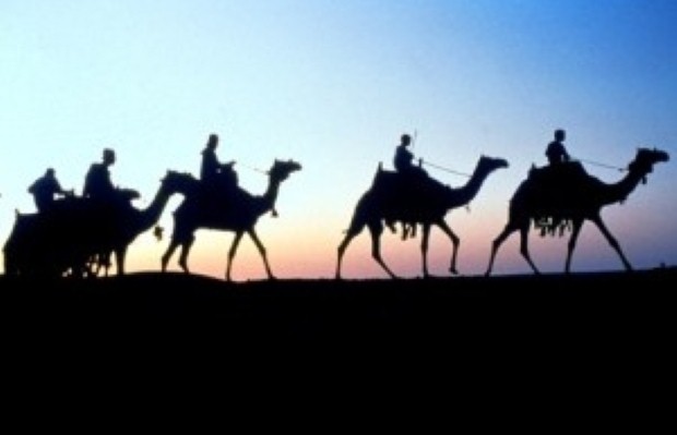 A camel trek is just one of the activities on offer.