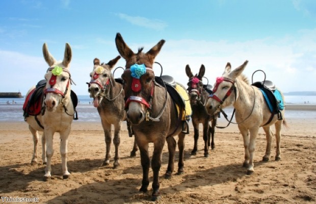 Brits are opting for a more traditional, British sea-side holiday in Skegness 