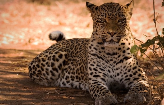 Experience the real Africa in Zimbabwe Experience the real Africa in Zimbabwe