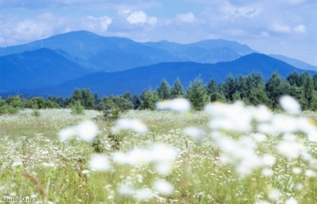 Japan is "is just as beautiful as it was before the earthquake" 