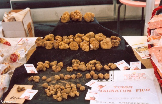 Much of the holiday will focus on truffles.