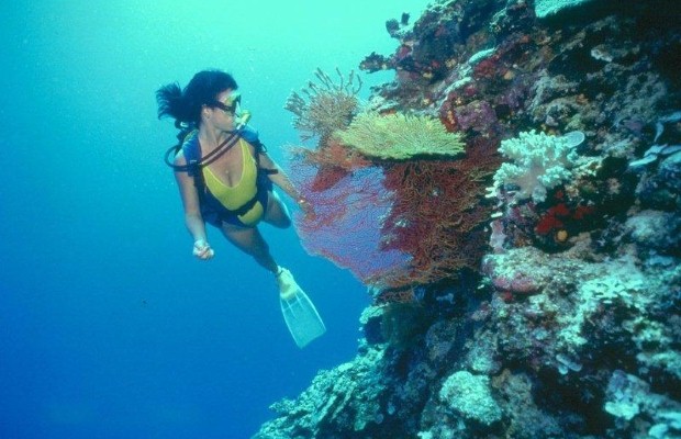 New diving destinations in Oman