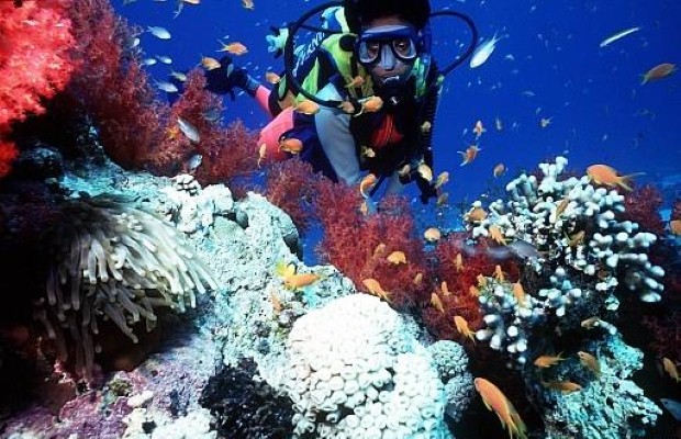 Scuba diving honeymoons (photo: Thinkstock)
