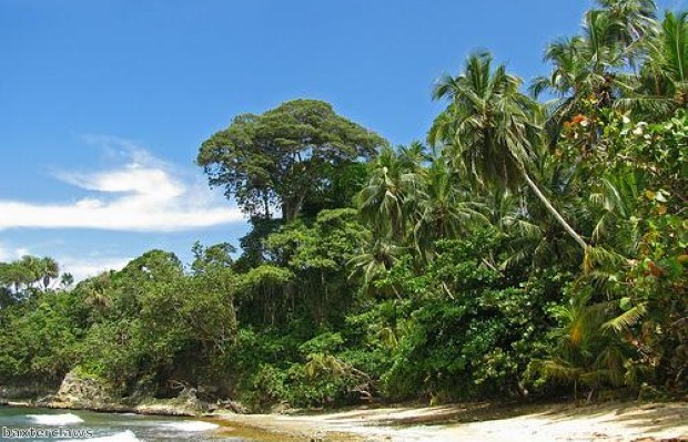 Tropical holidays in Rarotonga