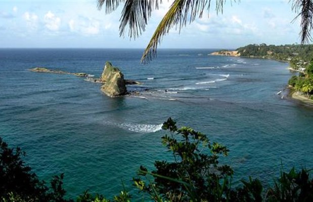 Whale watching in Dominica is explored in the new documentary 