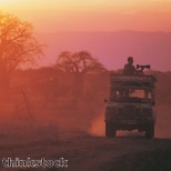 Safari Holiday