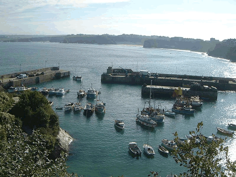 Newquay cottages