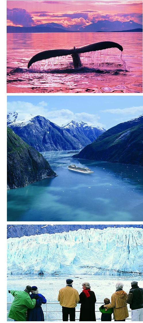 Alaska Cruises