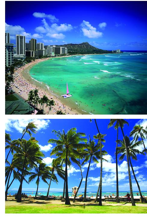 Hawaii Cruises