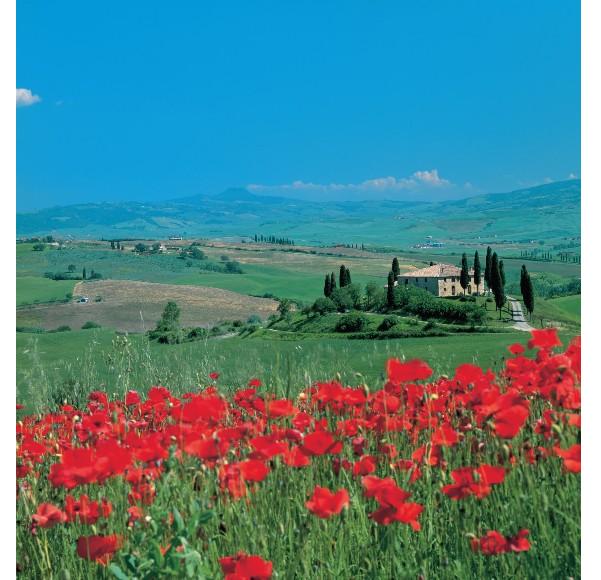 activity holidays in Italy