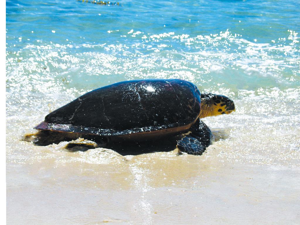 Beachcomber Seychelles holiday