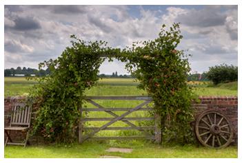 Devon holiday cottages