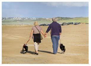 Dog friendly holiday cottages