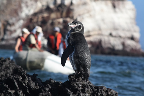 Galapagos travel packages