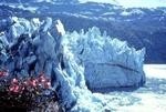 Yukon and Alaska