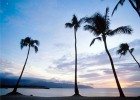 Cruises to Hawaii on offer