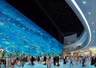 Dubai Acquarium in Dubai Mall