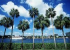Florida has some of the best road trips in the US