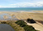 Golden sands of New Zealand's Abel Tasman park (photo: Anna Kainberger)