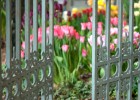 Have a blooming good time in London's gardens (photo: Thinkstock) 