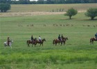 Horse riding and deer in Borovets, Bulgaria (photo: Kathy Carter)