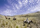 Horse riding holidays this summer