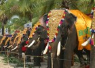 Kerala Elephant Festival 