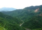 Lush jungle in the Central Highlands of Vietnam