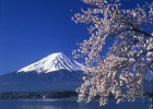 Mount Fuji draws guests to Japan