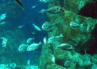 Regaldive has named its top diving holiday destinations