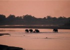 Safari parks of Zambia 