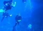 Scuba diving holiday in Iceland
