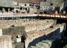 The Coliseum in Rome