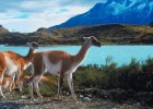 The Torres del Paine National Park in Chile