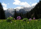 Trekking holiday in Kyrgyzstan (photo: Natasha von Geldern)