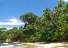 Tropical holidays in Rarotonga