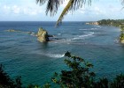 Whale watching in Dominica is explored in the new documentary 