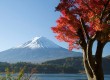 Mt. Fuji (photo: Thinkstock)   