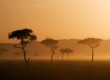 African safari holiday late deal