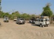 Chobe National Park, Botswana