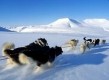 Dogsledding in Arctic Norway