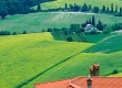 Emilia Romagna is known for its great food and wine 