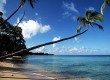 Fancy jetting off to this idyllic beach in Barbados? (photo: Thinkstock)