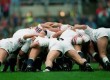 Get Involved in the Scrum