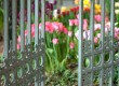 Have a blooming good time in London's gardens (photo: Thinkstock) 